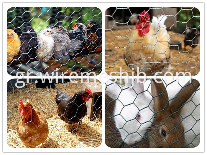 Chicken Livestock Wire Mesh